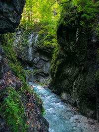 Stream flowing through rocks in forest