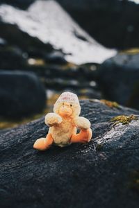 Close-up of a stuffed toy