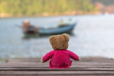 Rear view of woman sitting on pier over lake