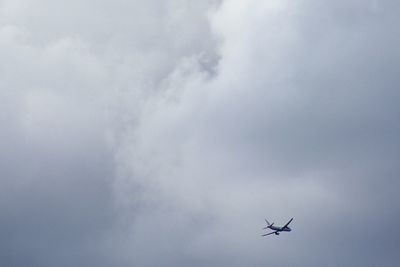 Low angle view of airplane flying in sky