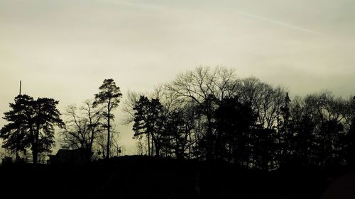 Low angle view of silhouette trees against sky at sunset