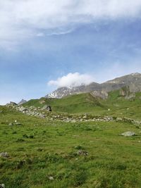 Scenic view of landscape against sky