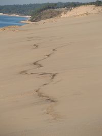 Scenic view of beach