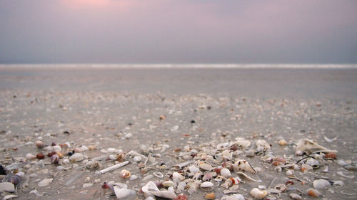 Close-up of pebbles on beach against clear sky