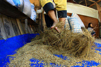 People working on hay bales