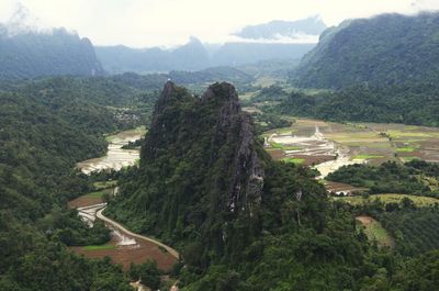 High angle view of trees on landscape