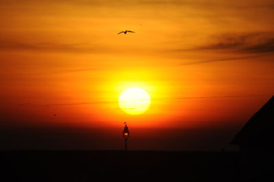 Silhouette bird flying in sky during sunset