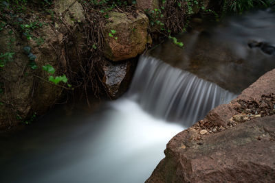 Scenic view of waterfall in forest