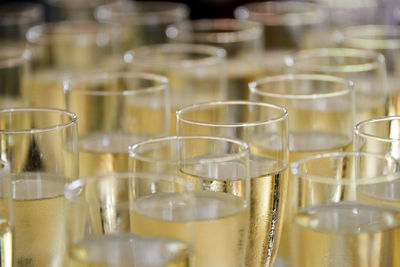 Close-up of champagne flutes arranged on table
