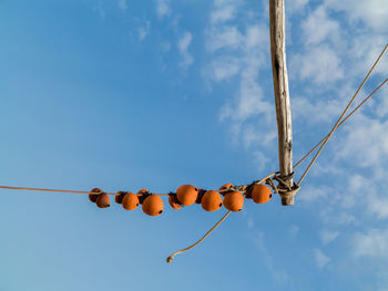 Low angle view of lanterns hanging against sky