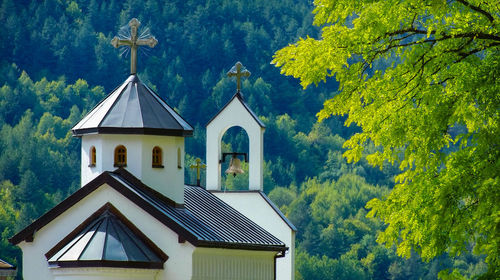 Church against trees in forest