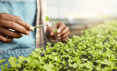 Cropped hand of man working at farm