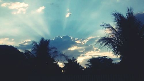 Silhouette of trees against cloudy sky