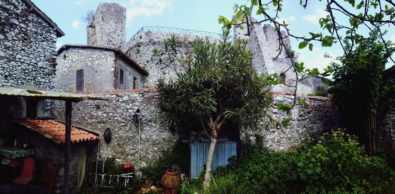 building exterior, architecture, built structure, house, tree, plant, growth, low angle view, residential structure, ivy, old, window, residential building, wall - building feature, day, sky, building, outdoors, no people, nature