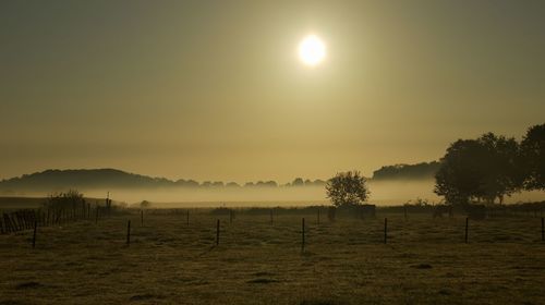 Sunrise in the suburbs