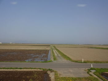 Road amidst agricultural field against clear sky