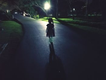 Rear view of silhouette person walking on street at night