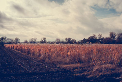 Scenic view of field against cloudy sky