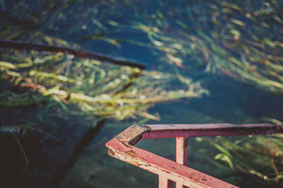 Close-up of padlock on railing by lake