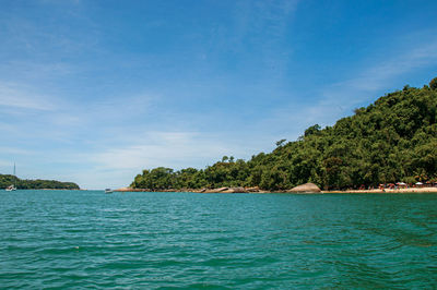 View of beach, sea and forest on sunny day in ilha do pelado, a tropical beach near paraty, brazil