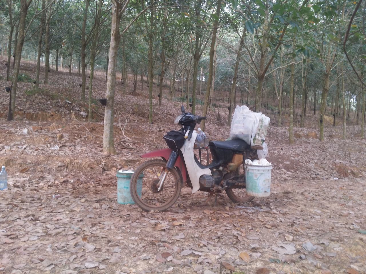 SIDE VIEW OF CART ON FIELD