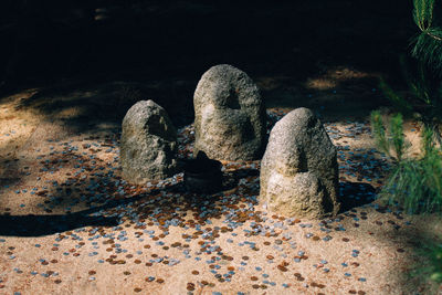 Close-up of rocks on beach