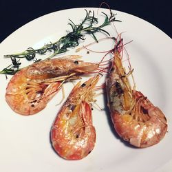 High angle view of meat in plate