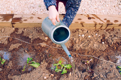 Low section of girl watering plants