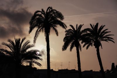 Silhouette palm trees against sky during sunset