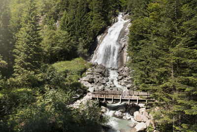 High angle view of waterfall in forest