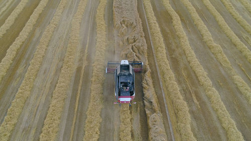 Combine harvester at work harvesting field wheat. combine harvester mows ripe spikelets, barley, rye