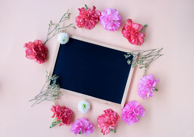 High angle view of pink flower on table against white background