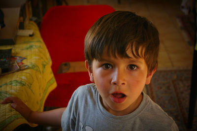 Portrait of shocked boy at home