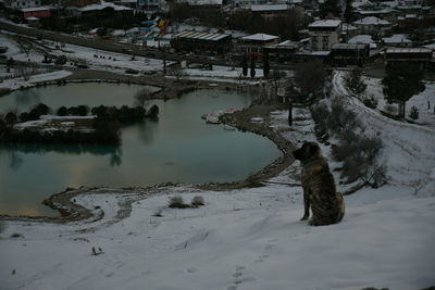 winter