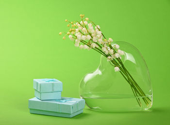 Close-up of flower vase and gift boxes against green background