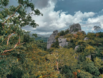 Trees and rocks on landscape against sky