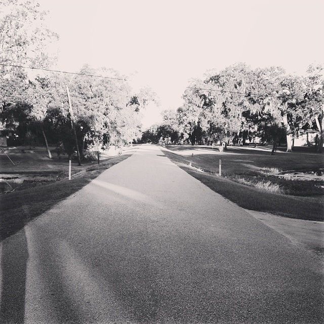 tree, the way forward, road, diminishing perspective, transportation, vanishing point, clear sky, tranquility, tranquil scene, empty, empty road, street, sky, treelined, nature, country road, growth, road marking, scenics, long