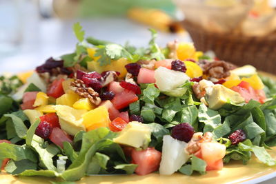 Close-up of salad