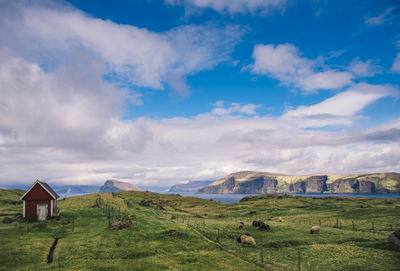 Skopun, faroe islands