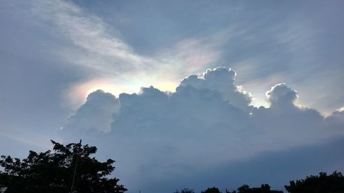 Low angle view of trees against sky