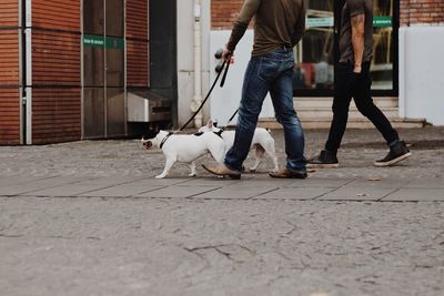 Low section of men with dogs