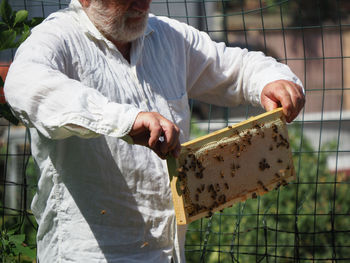 Midsection of man holding insect