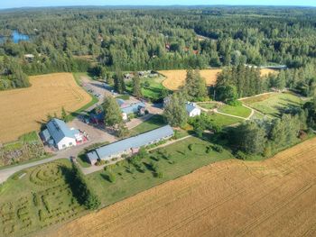 High angle view of agricultural field