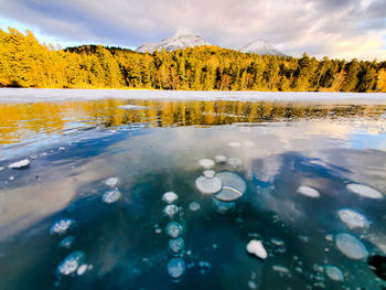 Scenic view of crystal frozen lake with ice bubbles