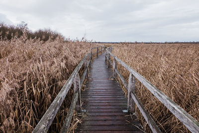 Wooden path leading through moorland