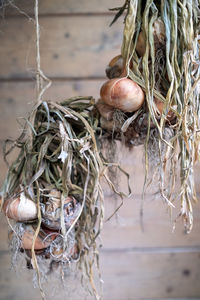 Close-up of christmas decorations on table