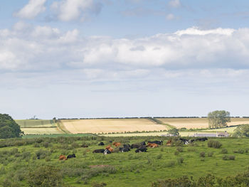 Scenic view of farm against sky