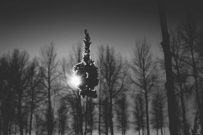 Low angle view of illuminated street light against sky during winter