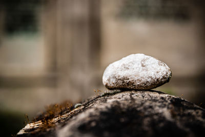 Close-up of stones on rock