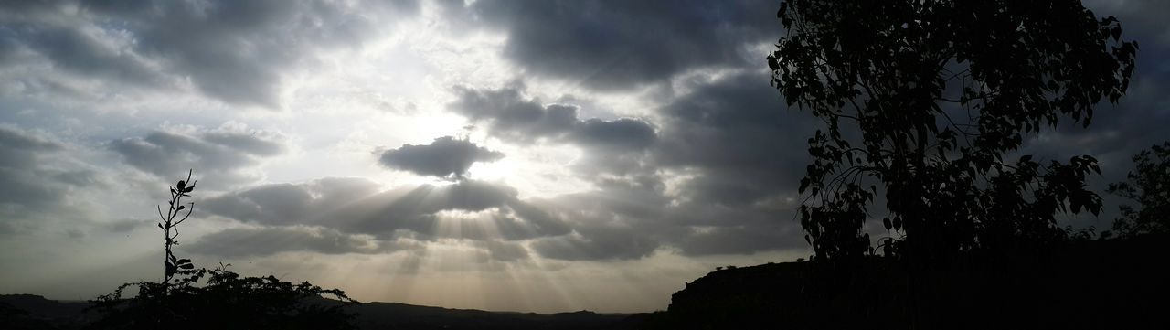 silhouette, sky, cloud - sky, low angle view, tree, cloudy, tranquility, cloud, nature, tranquil scene, beauty in nature, scenics, sun, sunlight, sunbeam, sunset, outdoors, no people, dusk, weather